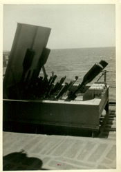 hwt025 - Duggins - Hedgehog rack